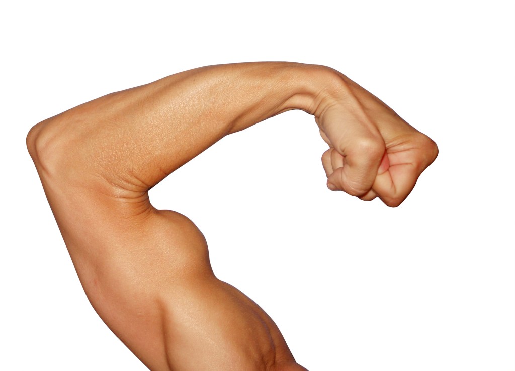 \"Biceps\"